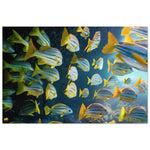 FISHES 16_YELLOW FINS_Premium Semi-Glossy Poster_Affiche en papier semi-brillant premium