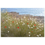 "SPRING BY THE SEA"_Premium Semi-Glossy Poster_Affiche en papier semi-brillant premium