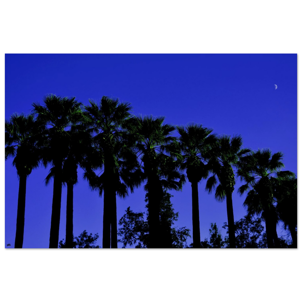 "AMALIA PALMS"_Premium Semi-Glossy Poster_Affiche en papier semi-brillant premium