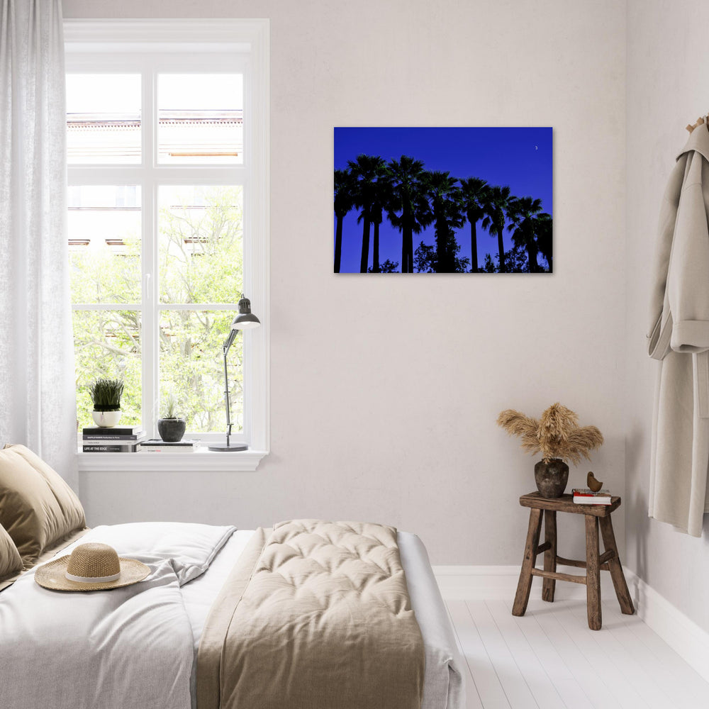 "AMALIA PALMS"_Premium Semi-Glossy Poster - PBDesigns