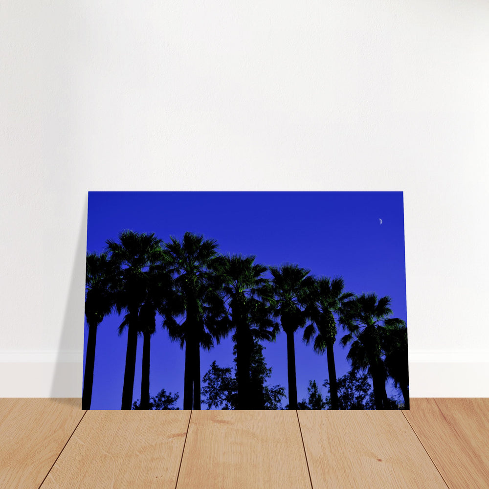 "AMALIA PALMS"_Aluminium Print or Fine Art Poster - PBDesigns