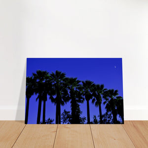 "AMALIA PALMS"_Aluminium Print or Fine Art Poster - PBDesigns