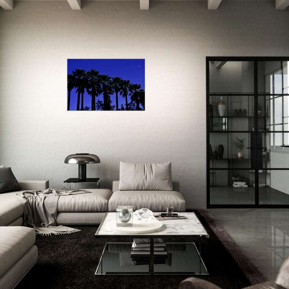 "AMALIA PALMS"_Aluminium Print or Fine Art Poster - PBDesigns