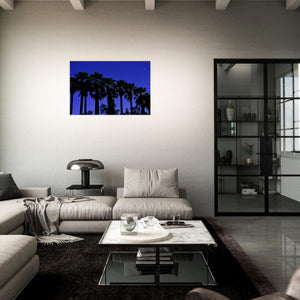 "AMALIA PALMS"_Aluminium Print or Fine Art Poster - PBDesigns
