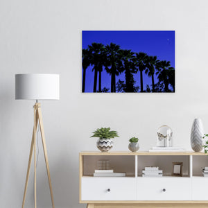 "AMALIA PALMS"_Aluminium Print or Fine Art Poster - PBDesigns