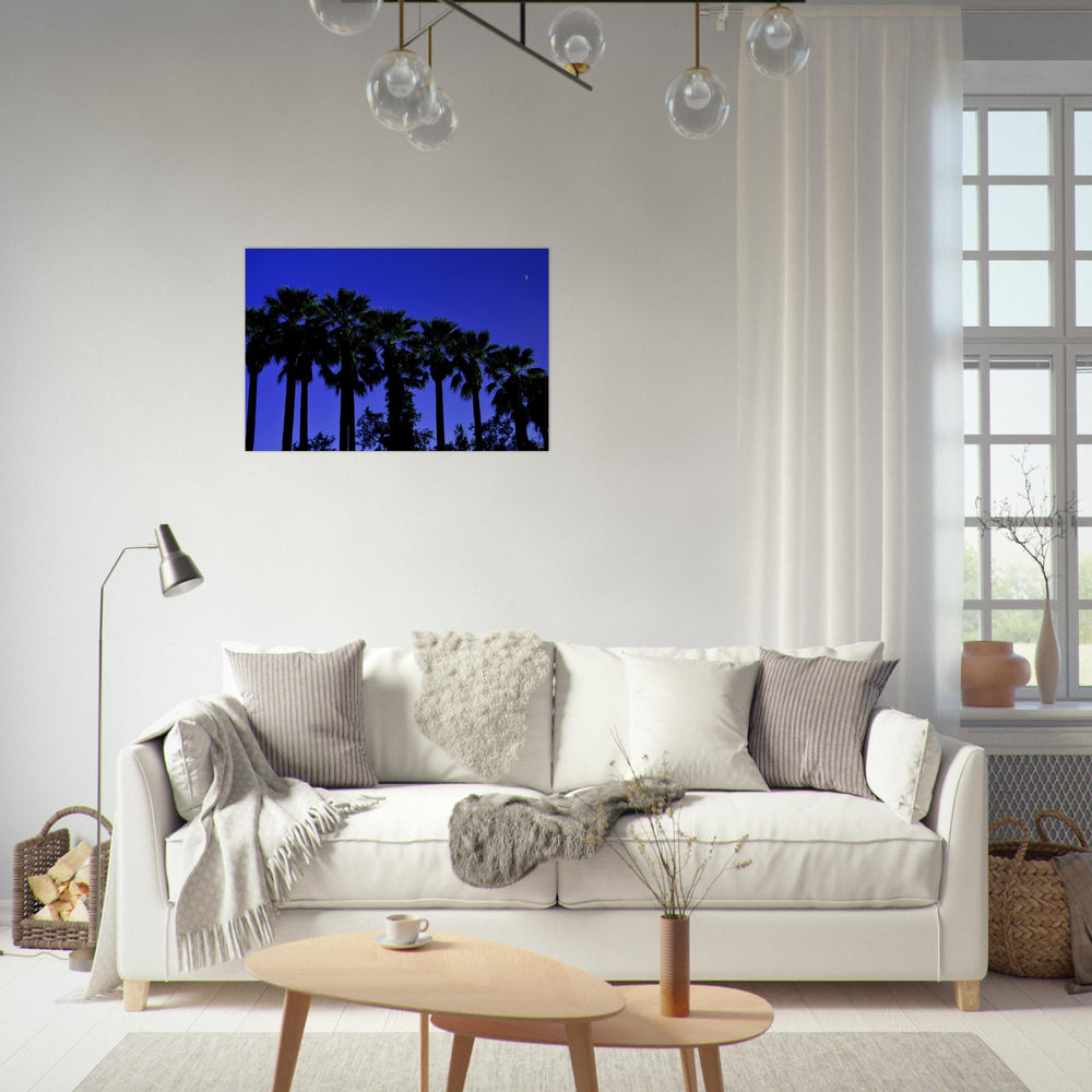"AMALIA PALMS"_Aluminium Print or Fine Art Poster - PBDesigns