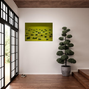 "FLOTILLA GOLD"_Aluminum Print or Fine Art Poster - PBDesigns