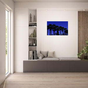 "AMALIA PALMS"_Aluminium Print or Fine Art Poster - PBDesigns