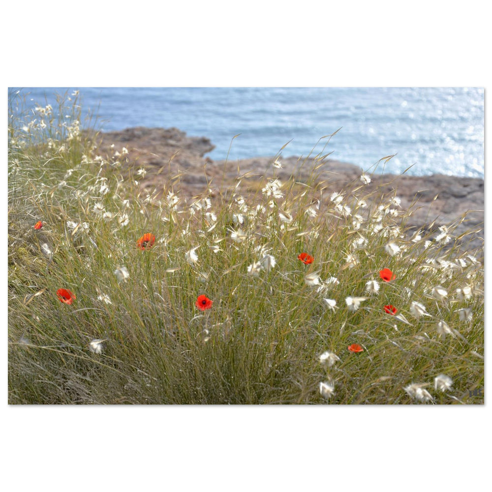 "SPRING BY THE SEA"_Aluminium Print or Fine Art Poster