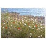 "SPRING BY THE SEA"_Aluminium Print or Fine Art Poster