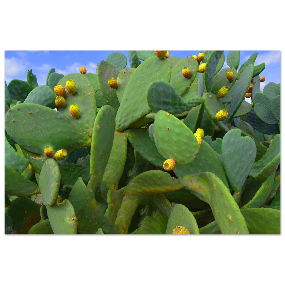 "OPUNTIA 01"_Premium Semi-Glossy Paper Poster_Affiche en papier semi-brillant premium